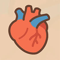 Heart